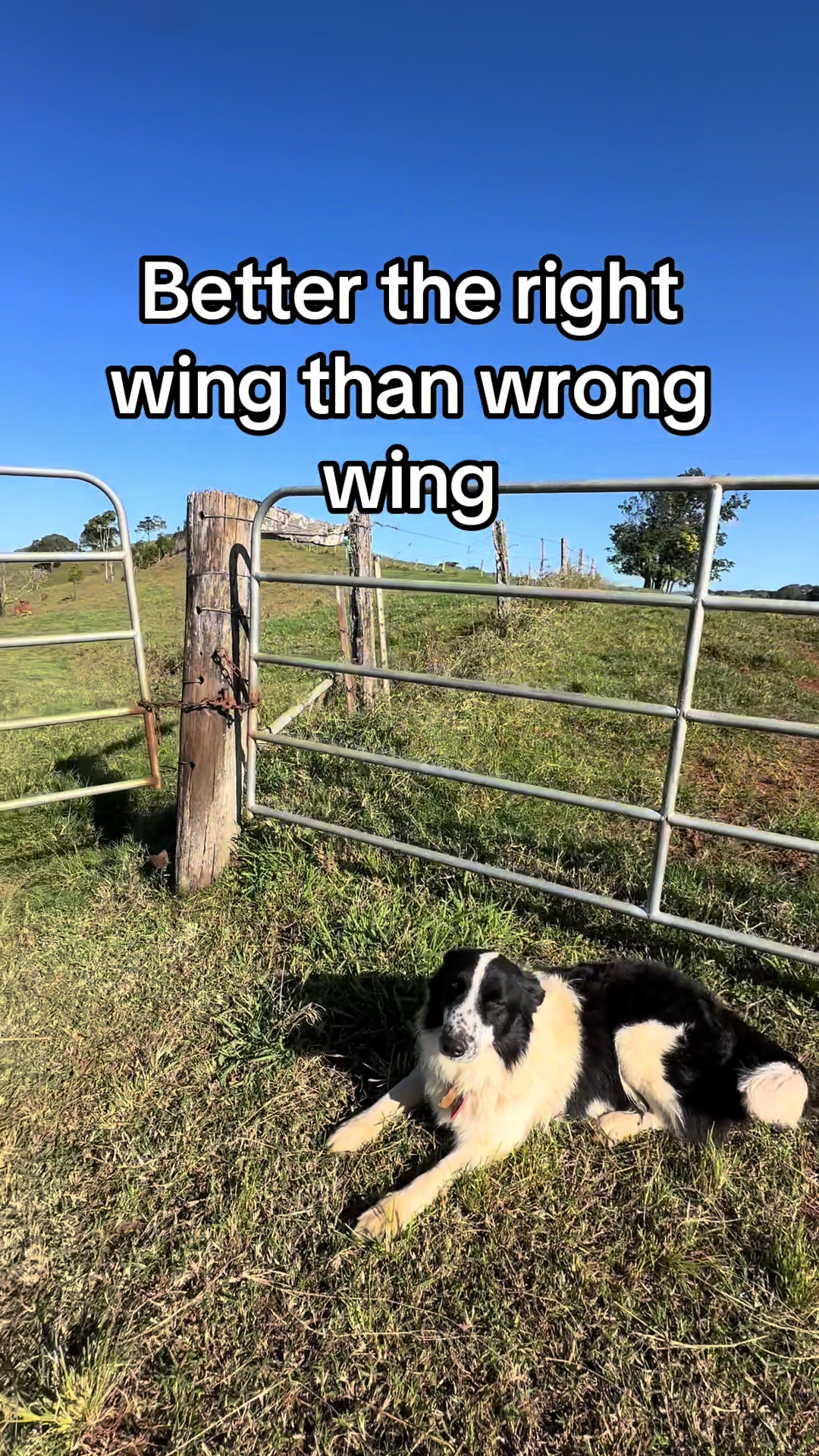 @🇦🇺AngloAussie🇬🇧