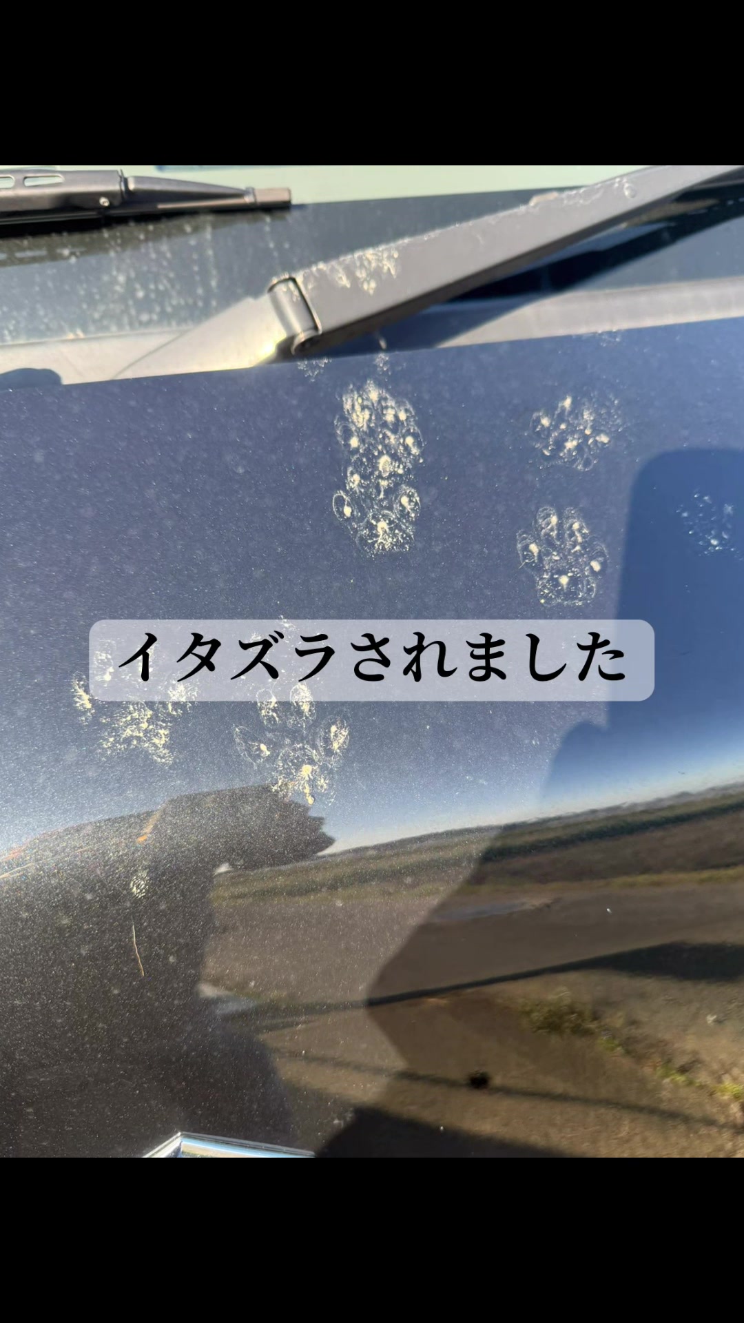 @JUN🍓👑農家のオバタン