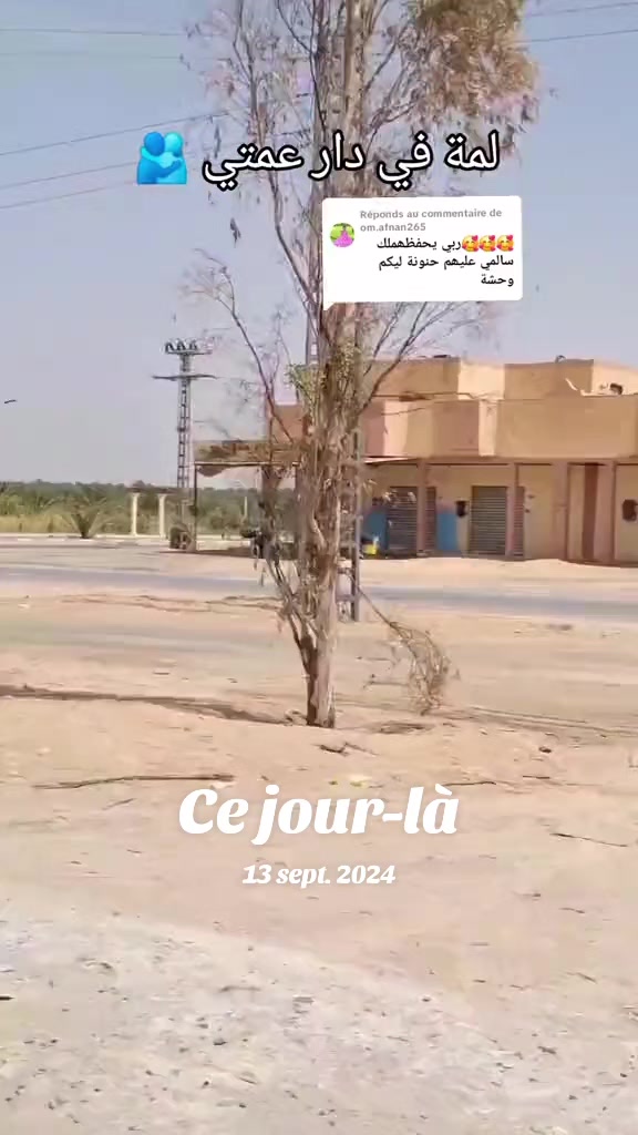@Hanine maarouf