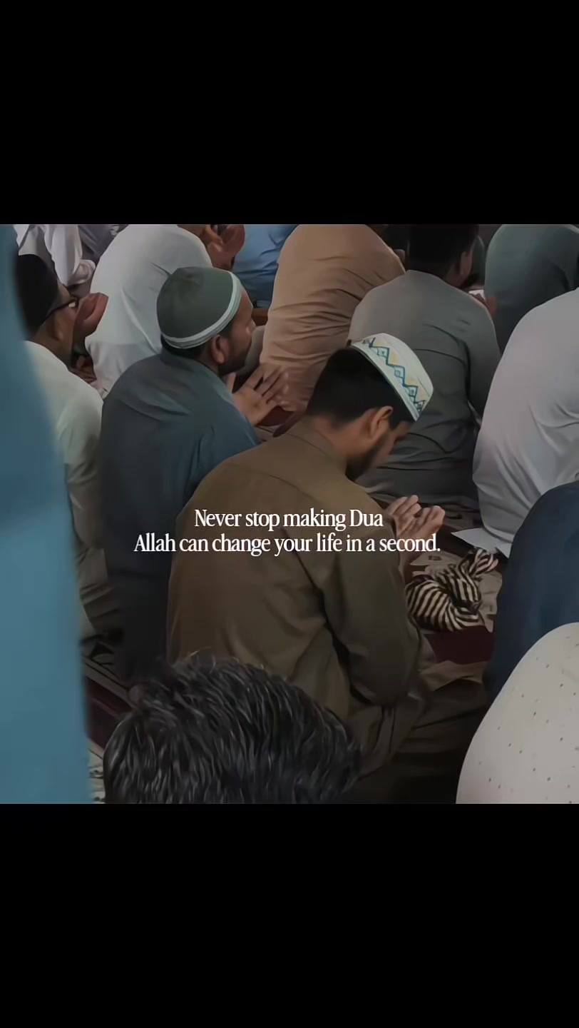 @Halal Mohsin