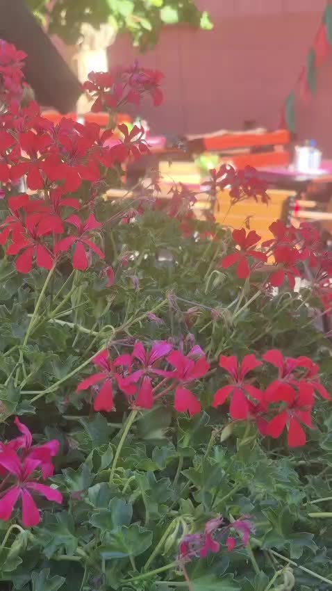 @Tifftravelstheworld