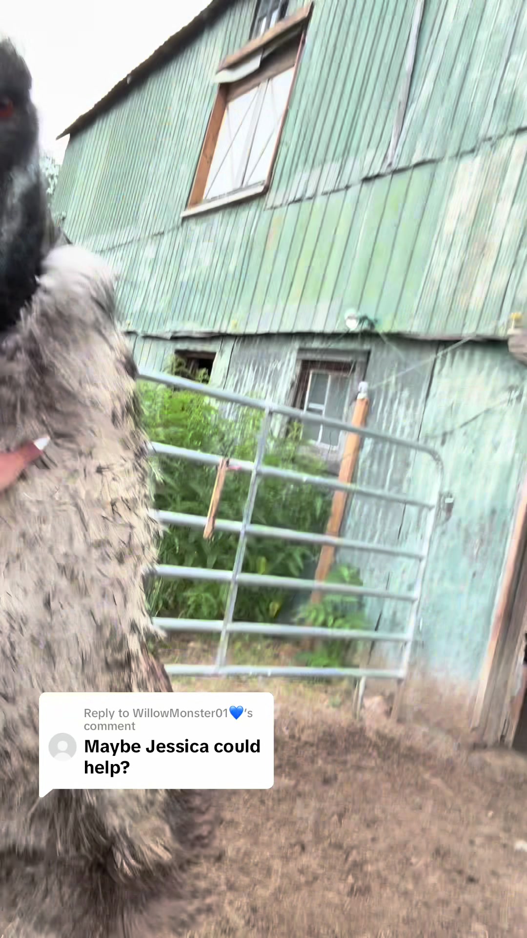 @Useless Farm
