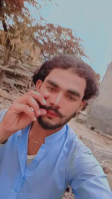 @s.h.o 007