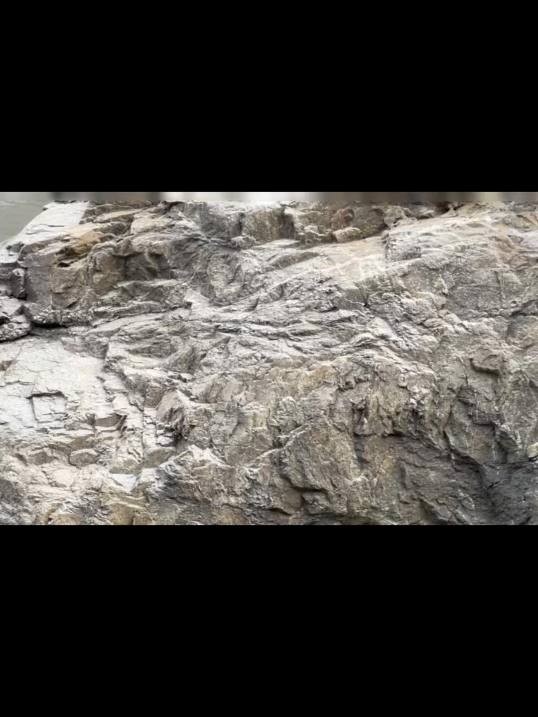 @Gita Lamichhane