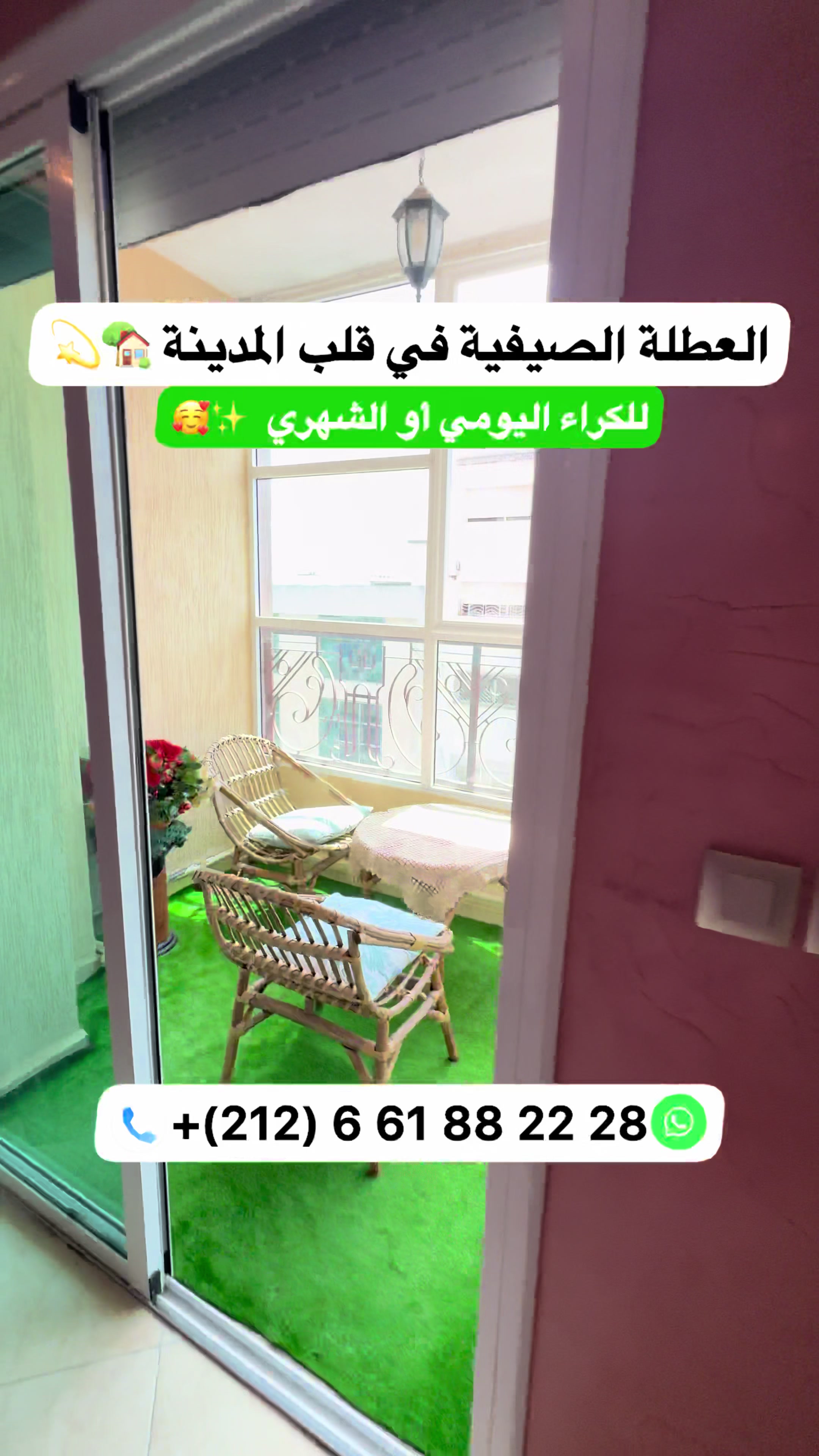 @Zakaria Haddad 🇲🇦🇵🇸