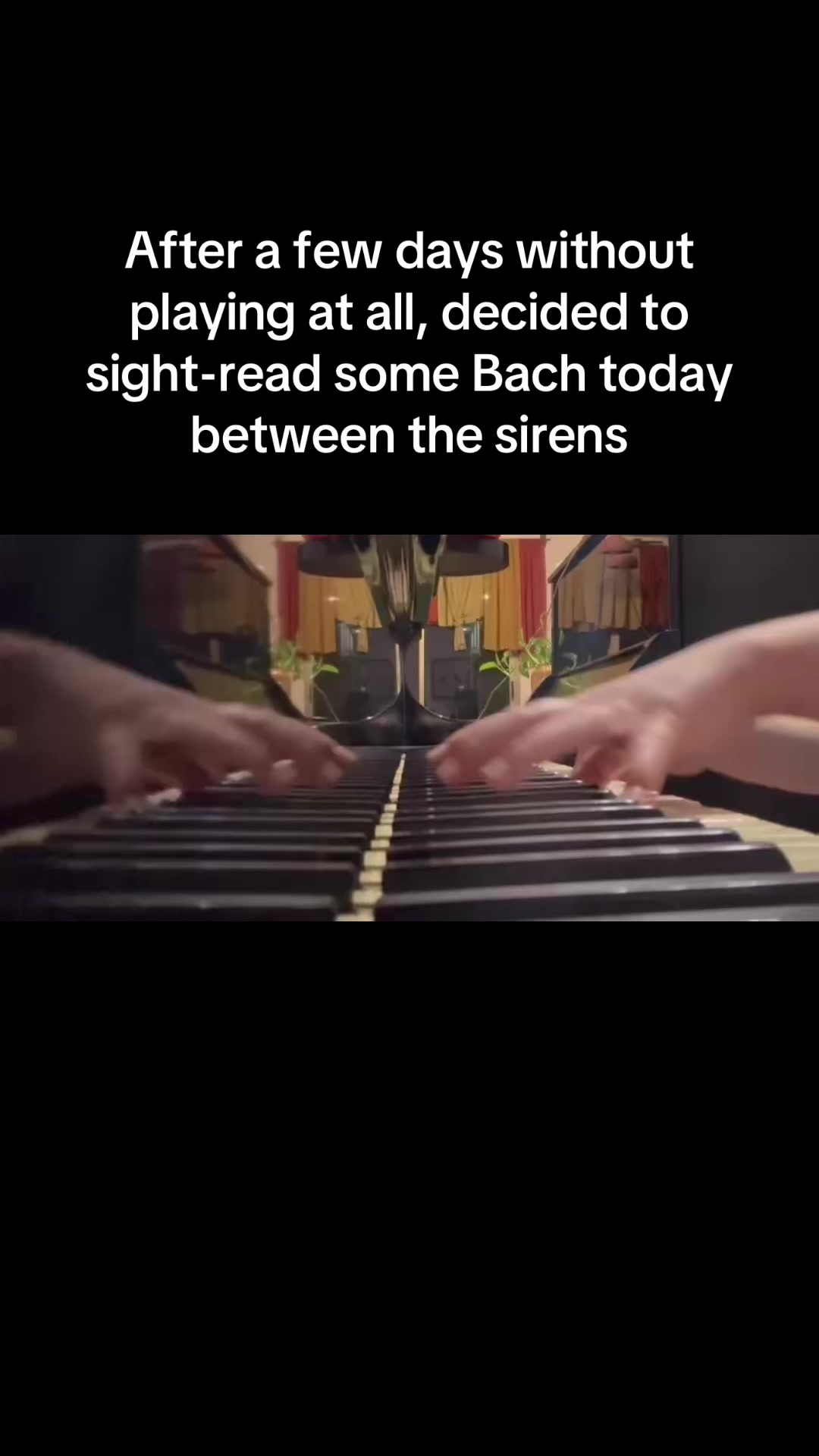 @yaelko