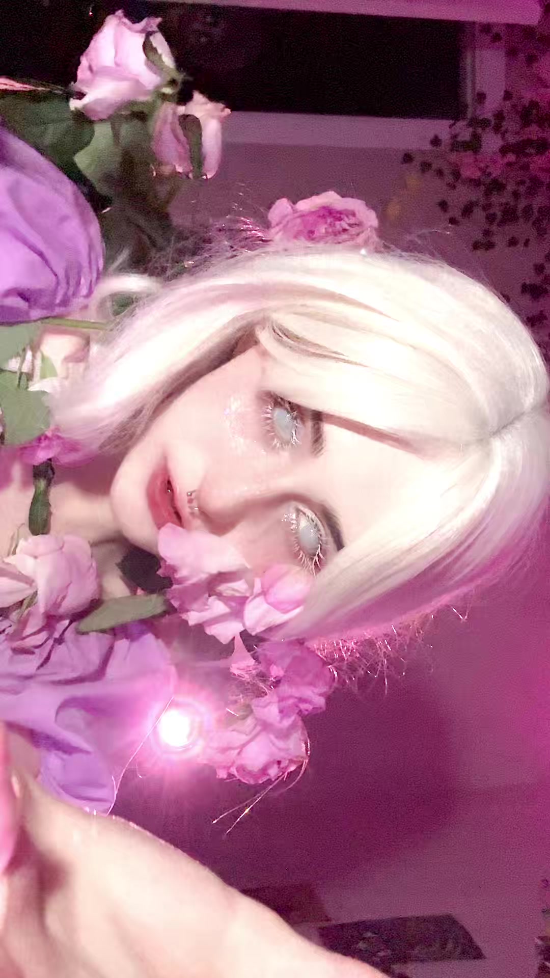 @солис@