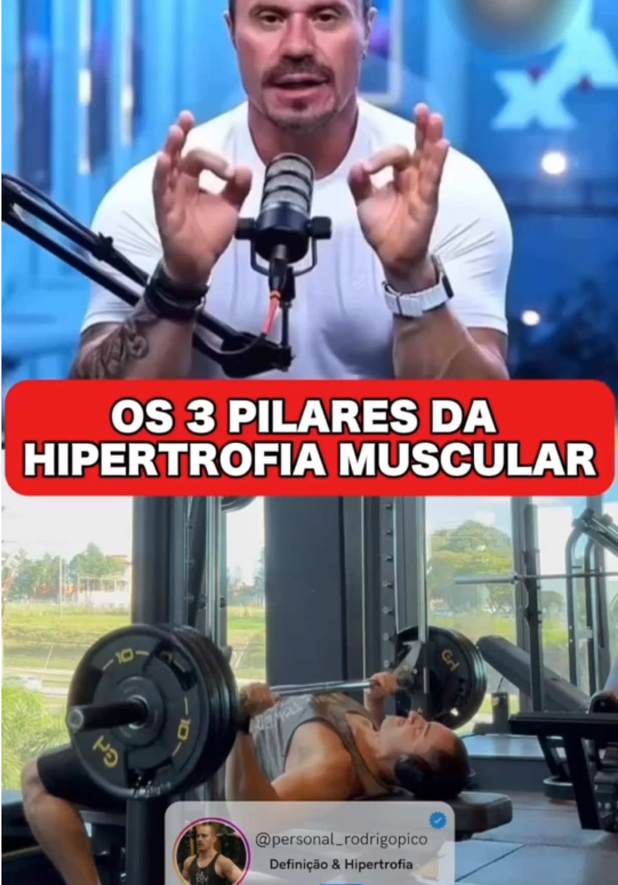 @Rodrigo / DEFINIÇÃO MUSCULAR