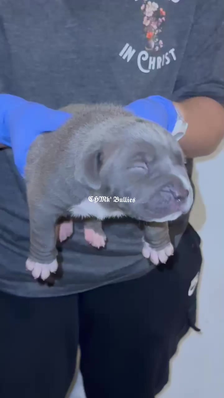 @𝕮𝕳𝕸𝖐'𝖇𝖚𝖑𝖑𝖎𝖊𝖘