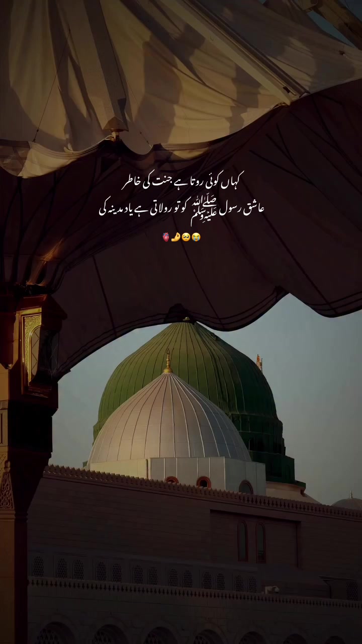 @𝑺𝒉𝒂𝒊𝒏𝒂 ✨❤️
