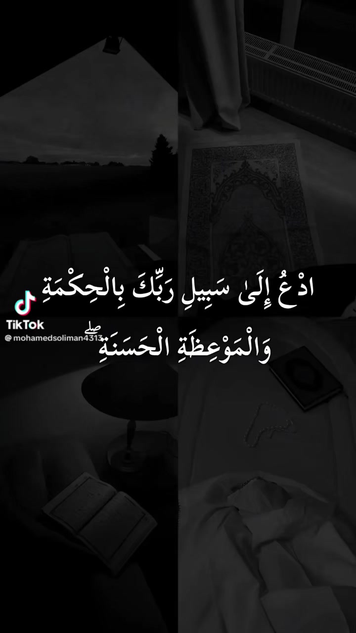 @الاسسسود ابوسند