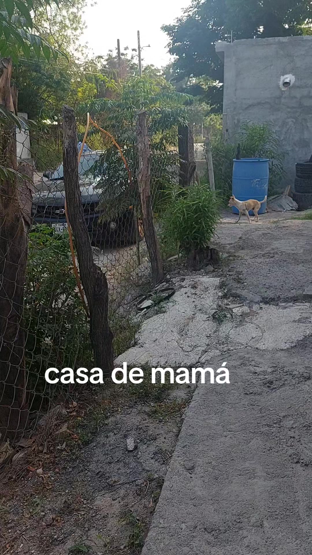@karol