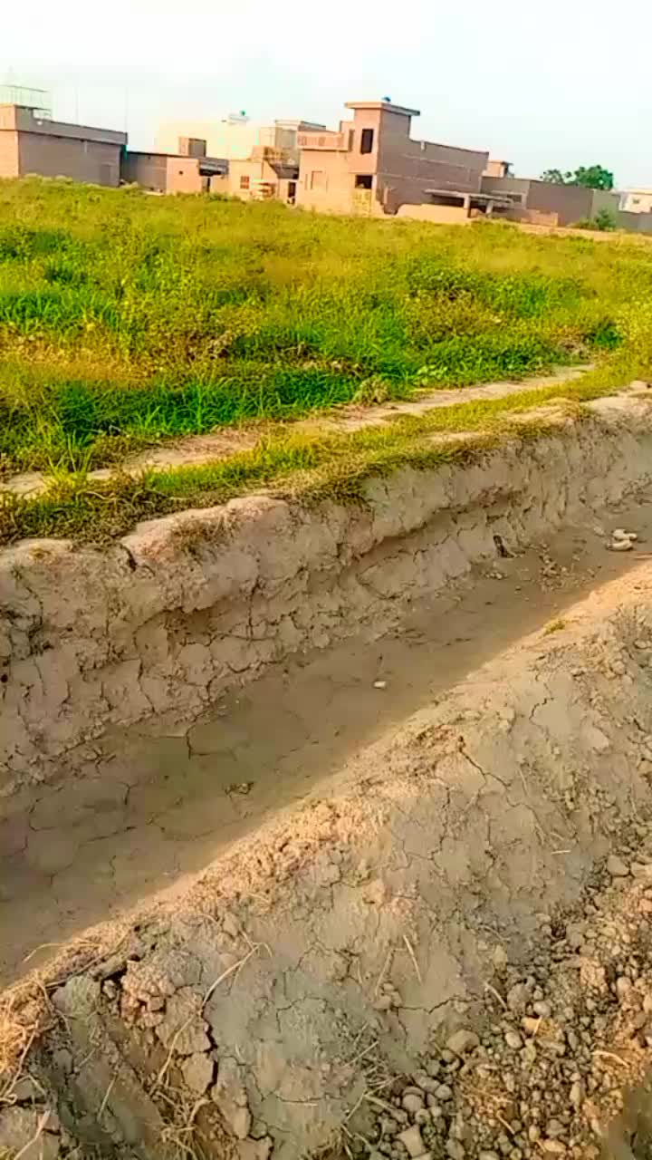 @BUTT :-*🌹🌹🌹