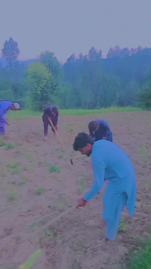 @🇵🇰Nₐ𝘴ₑₑ𝚋 𝓴ₐ𝓱ₐ𝚗🔷