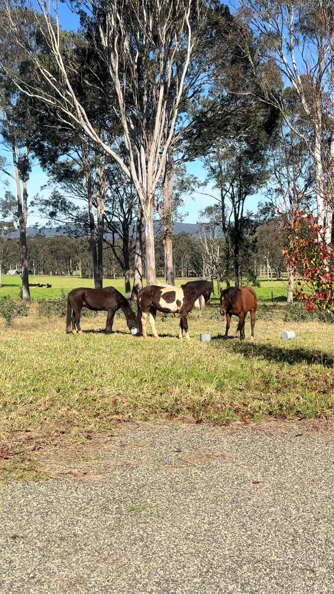 @martincentralcoastnsw
