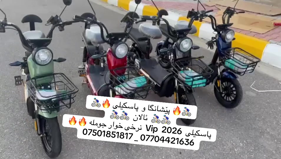 @🚴🏻&zwj;♂️ پاسکیلی ئالان