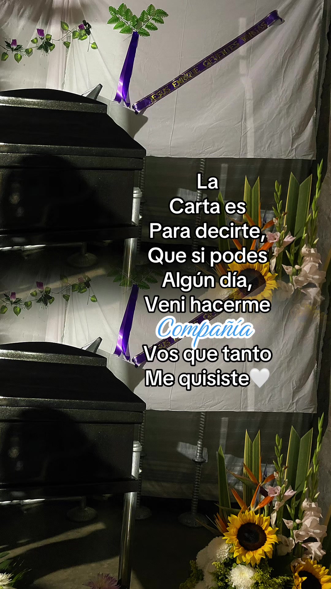 @Soriana🫠