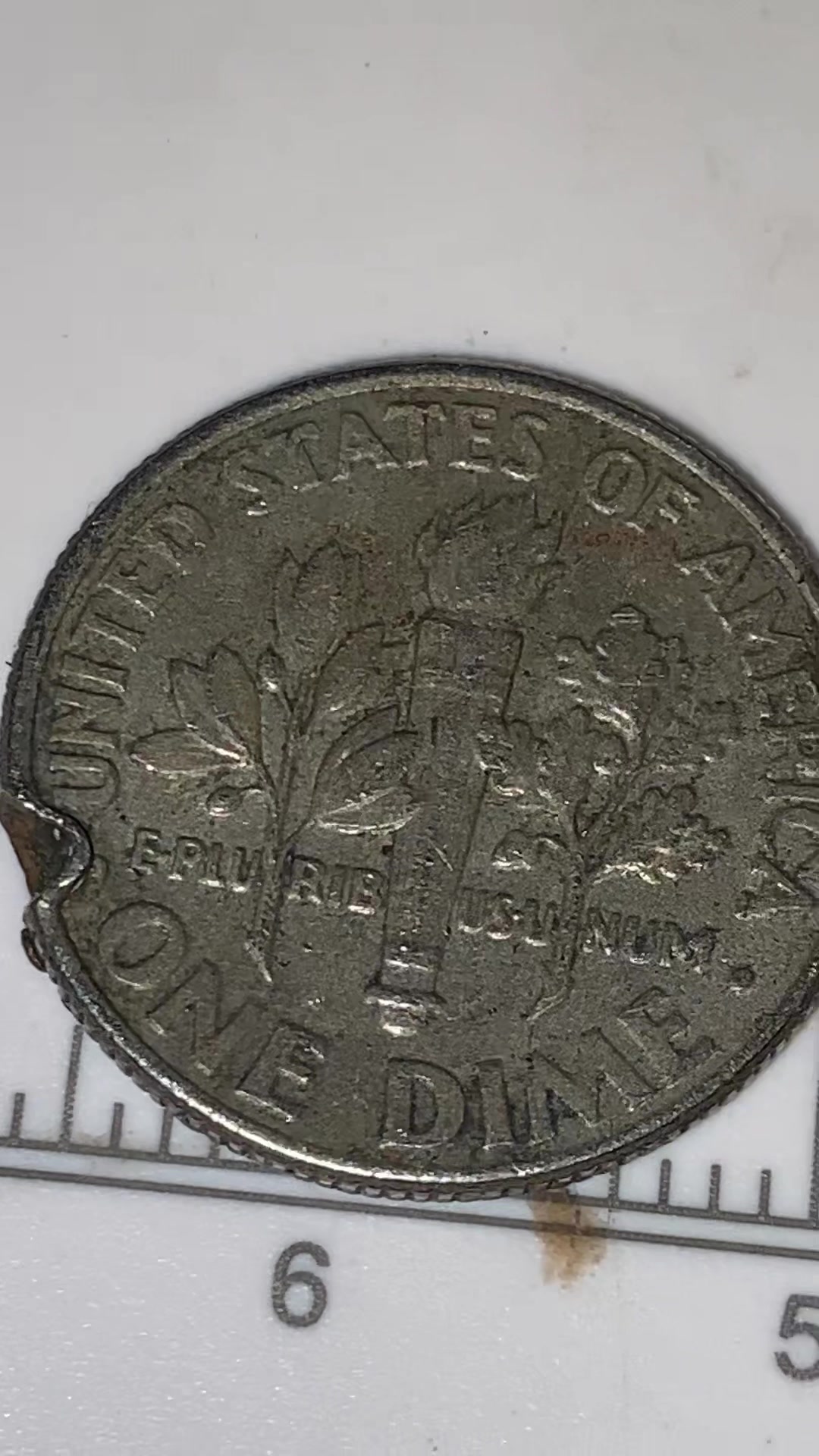 @DamagedCurrency ( Karen )