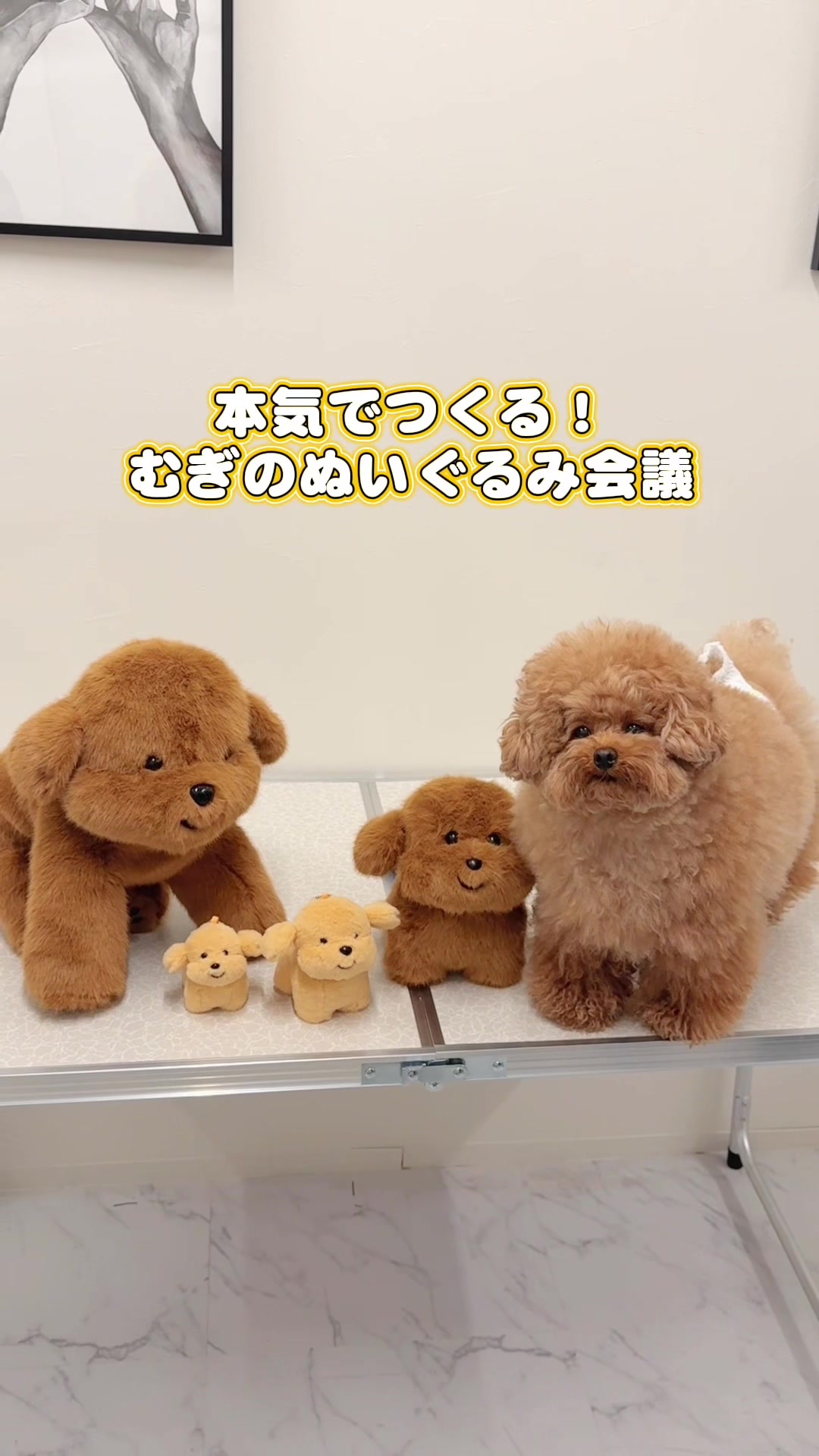 @むぎ🍫🧸