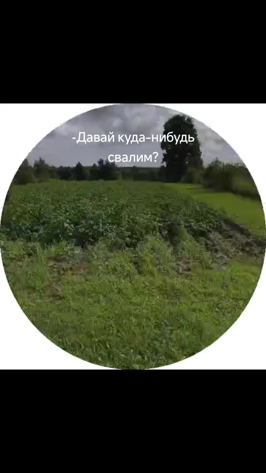 @Markelova