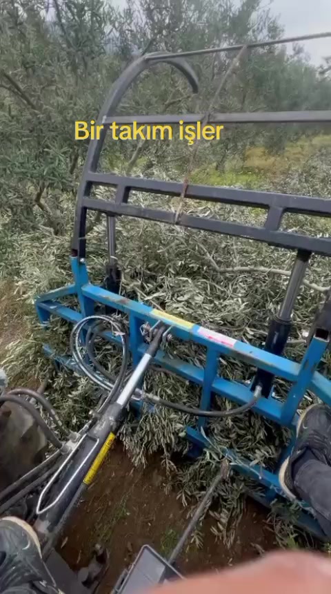 @Ali &Ccedil;ankaya