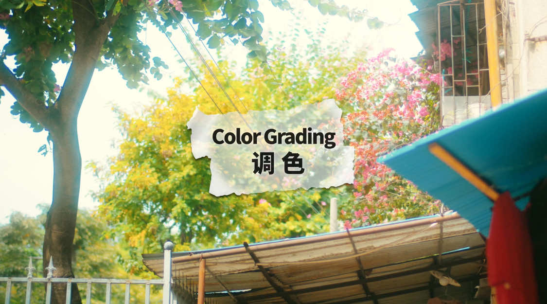 @Mr.Lu 卢