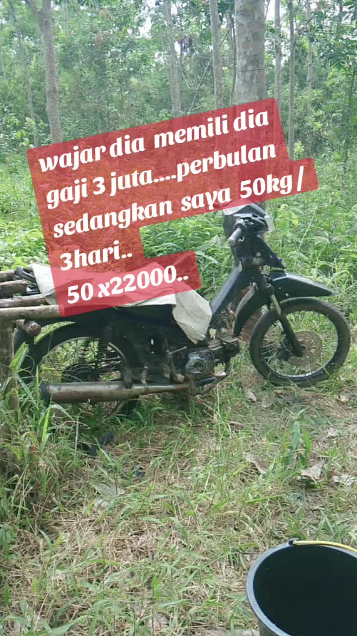 @mas boy