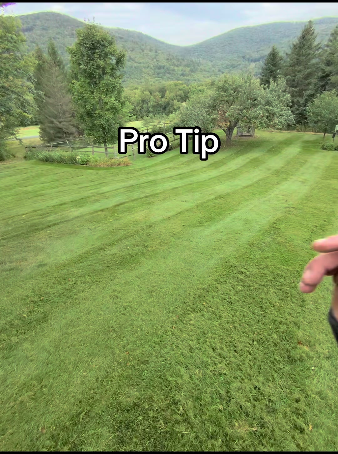 @Even Stevens Lawn Care