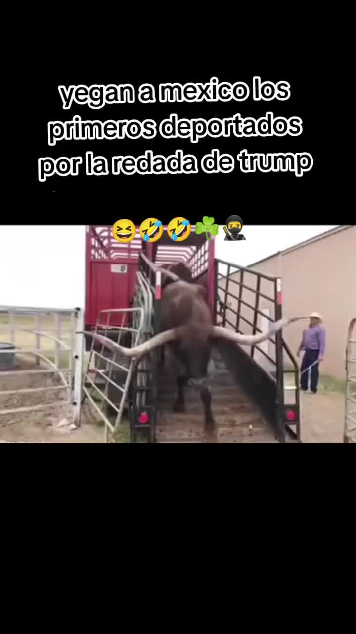@payasito ☘️🥷🇱🇷🇬🇹