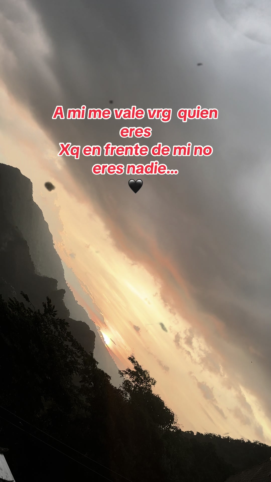 @Ary lopez
