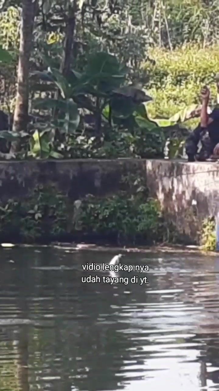 @ipan mancing channel