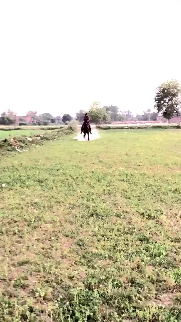 @احمد گل نمبر دار
