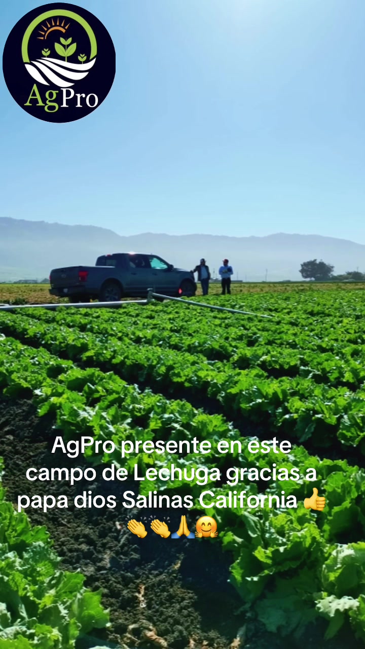 @Piedad Ayala