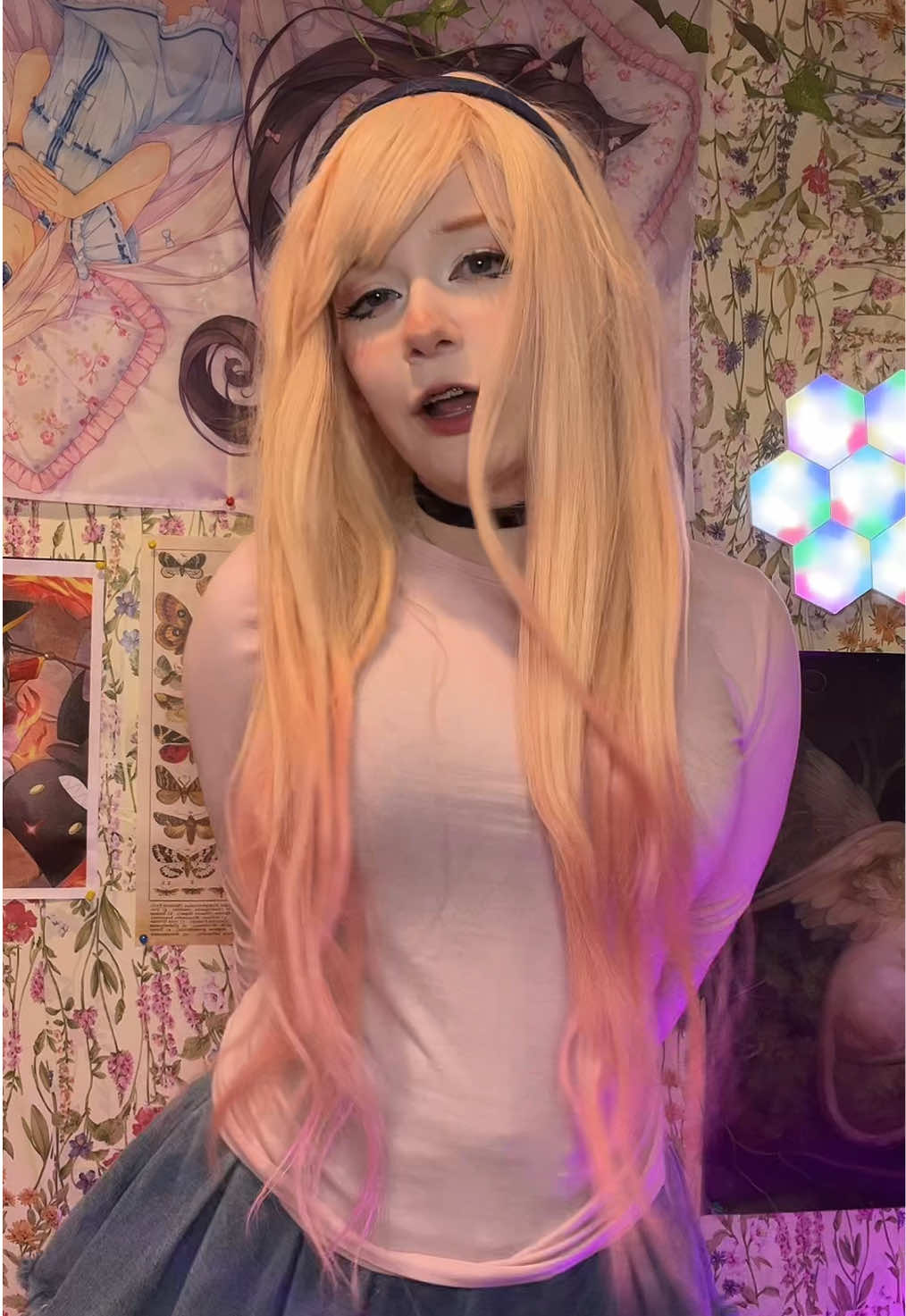 @≽^•⩊•^≼
