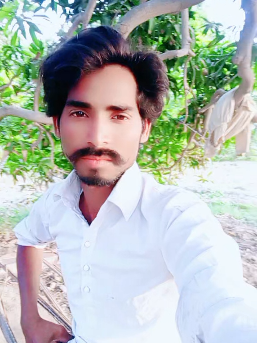 @Shameer Rathor