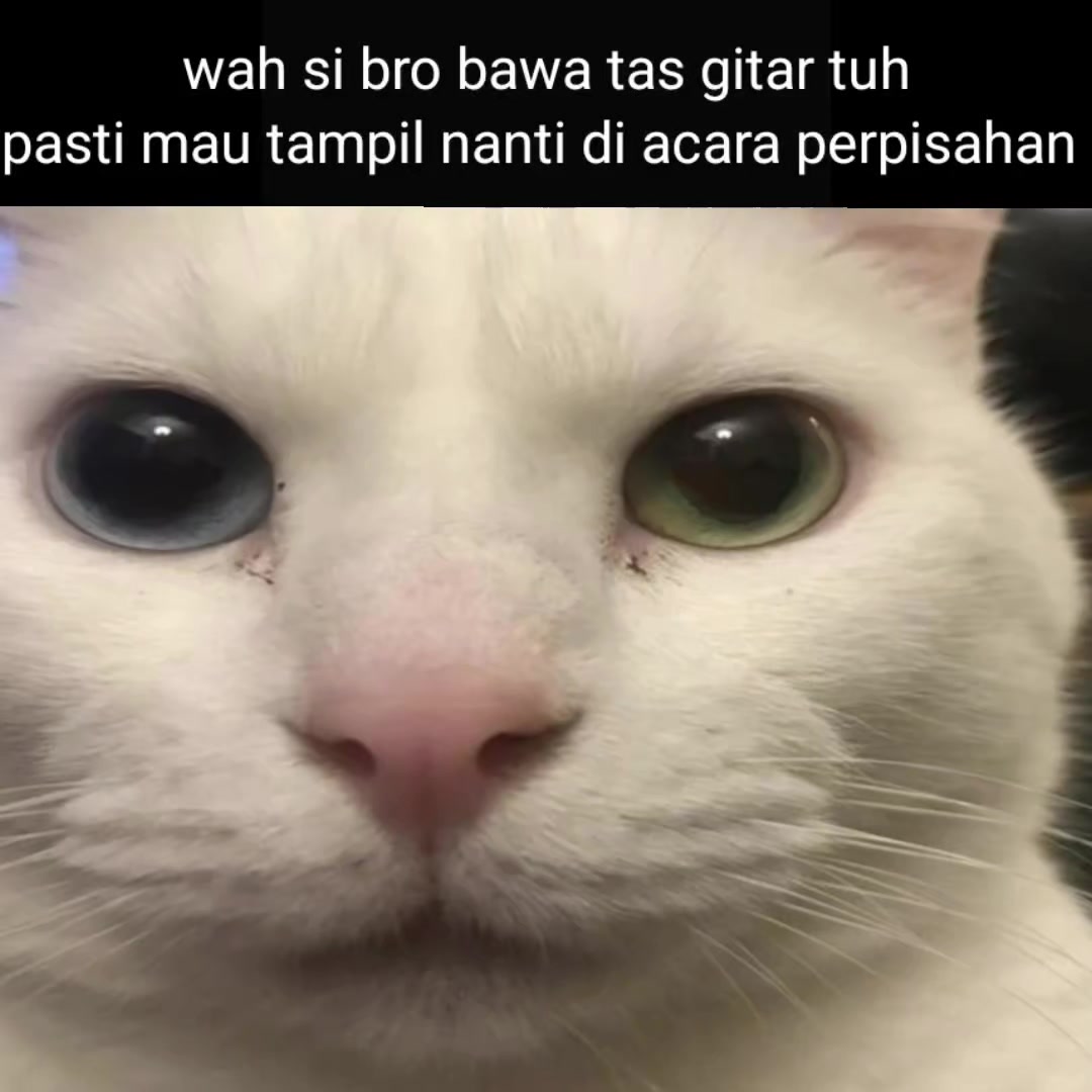 @maruzan