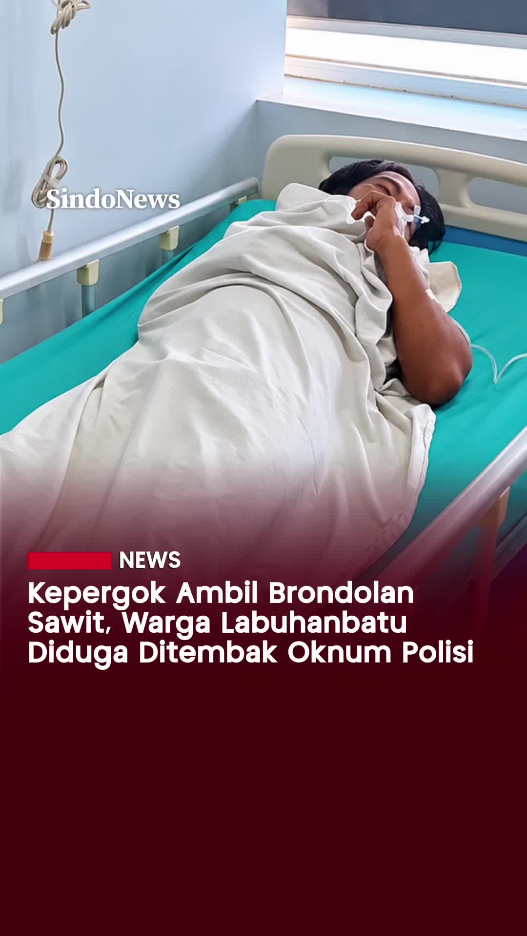 @Sindonews