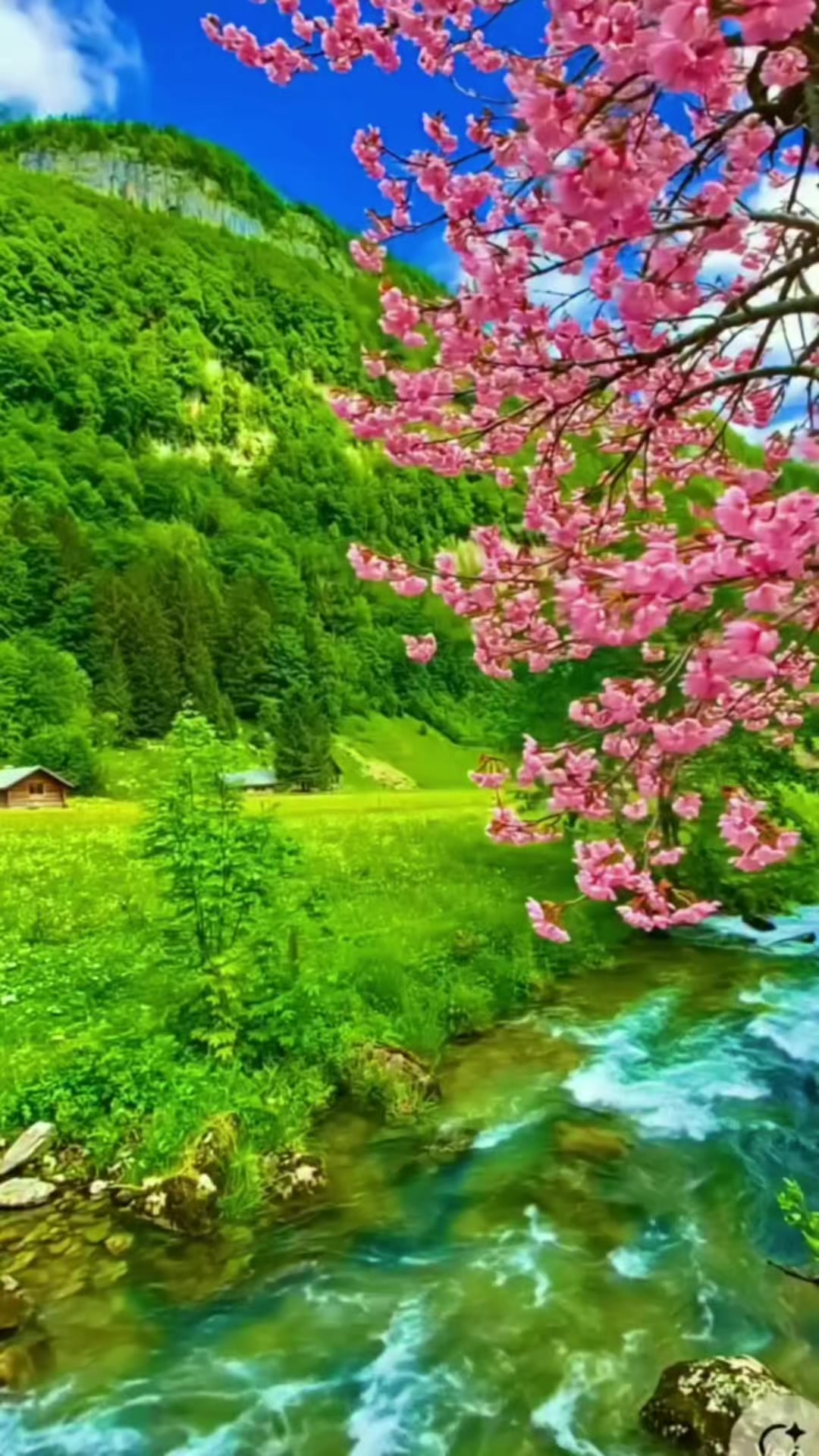 @&hearts;️Dilrubə&hearts;️