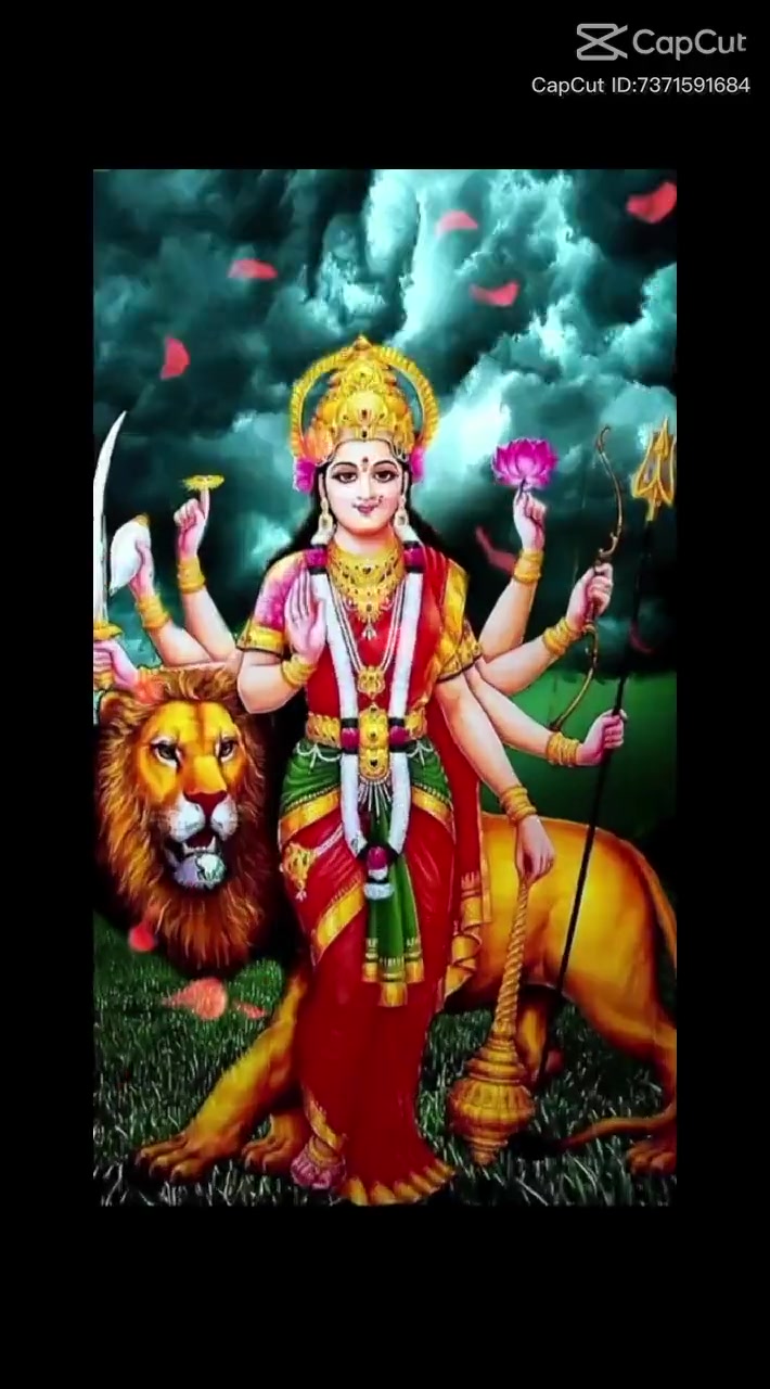 @Nandan Yadav 819