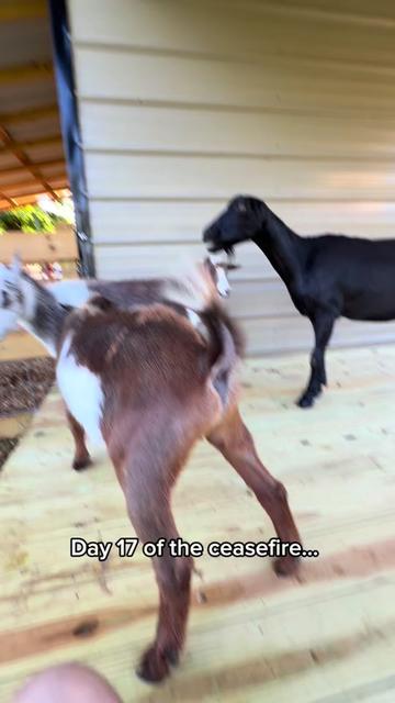 @Kenny Wayne
