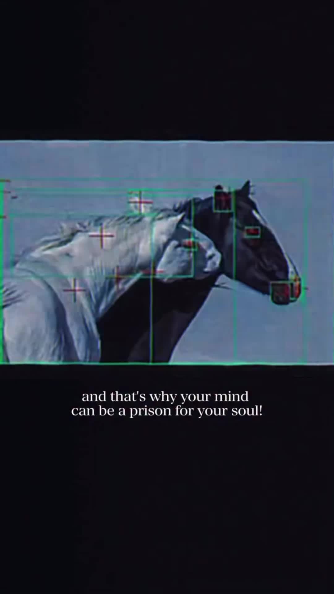 @ILLUMINATED MINDZ