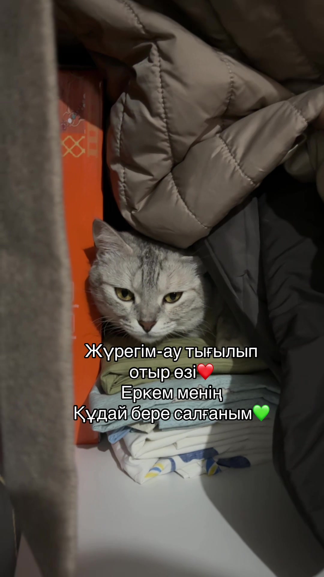 @boni04akx