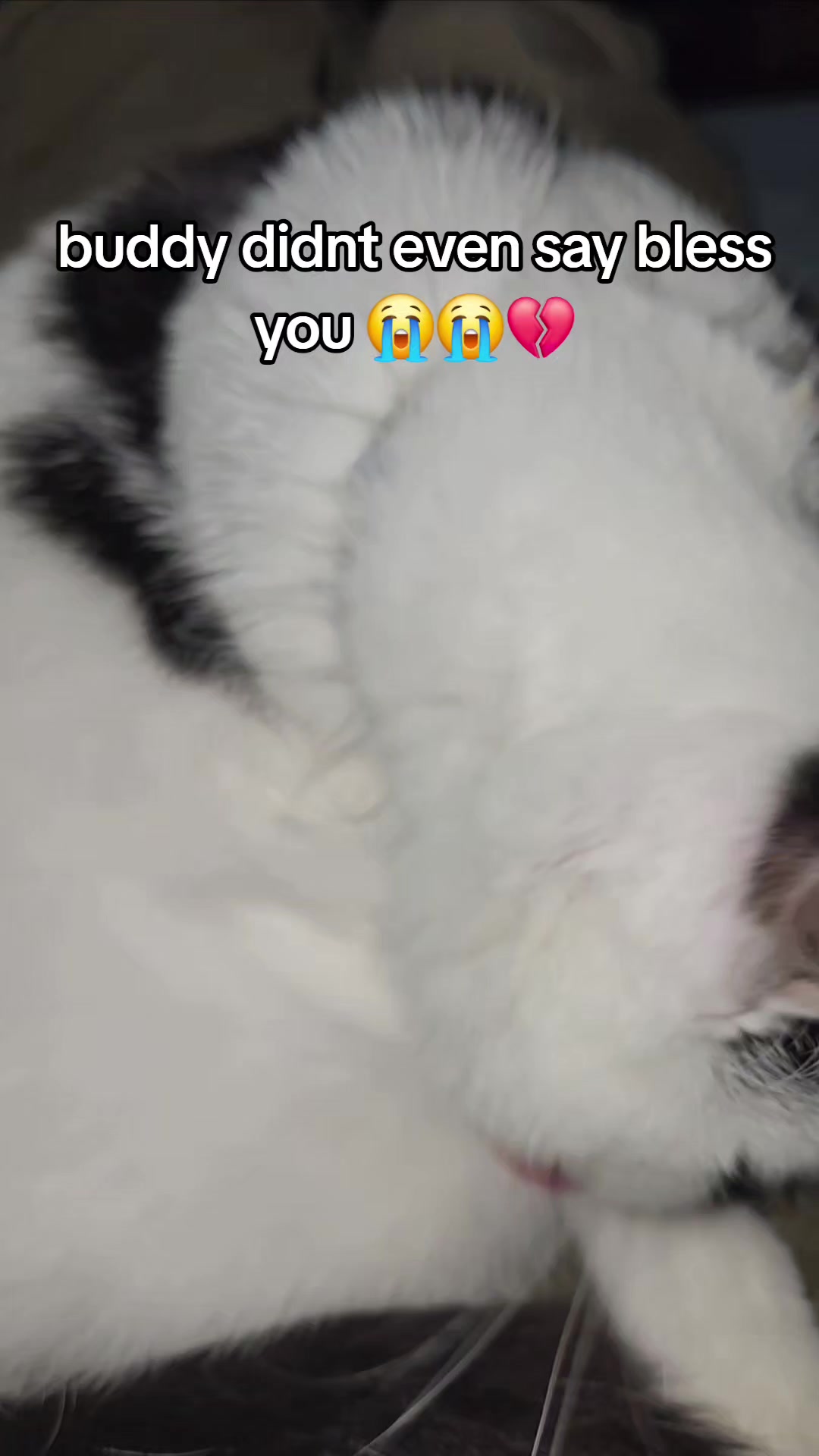 @🥤🥓