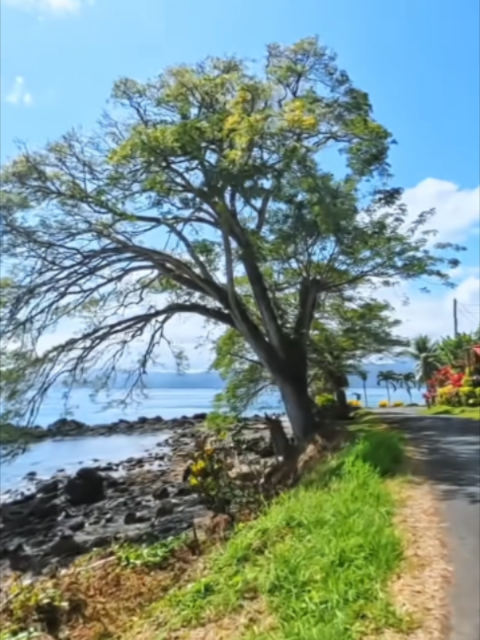 @FijiEco 🇫🇯