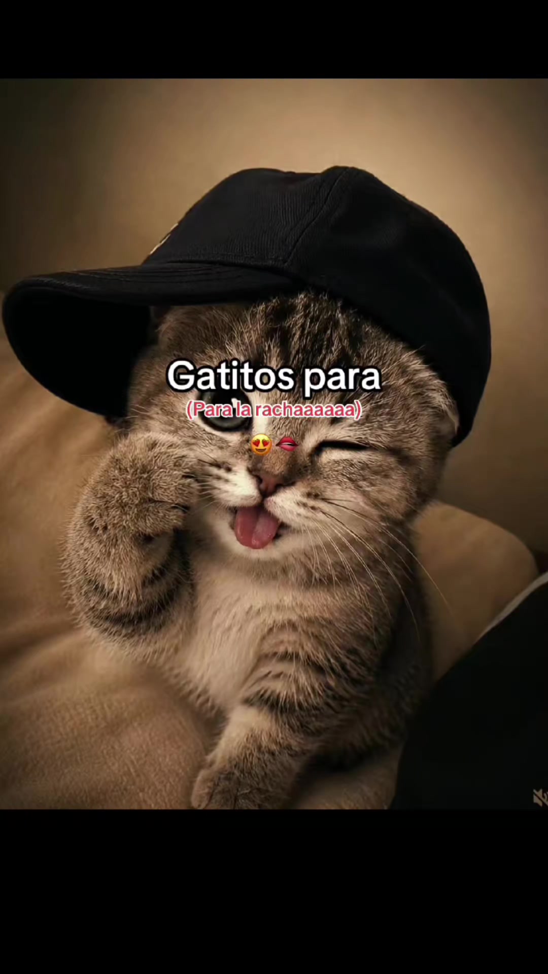 @๐
๐๐๐๐ ๐๐๐๐๐๐๐ ๐ฅ