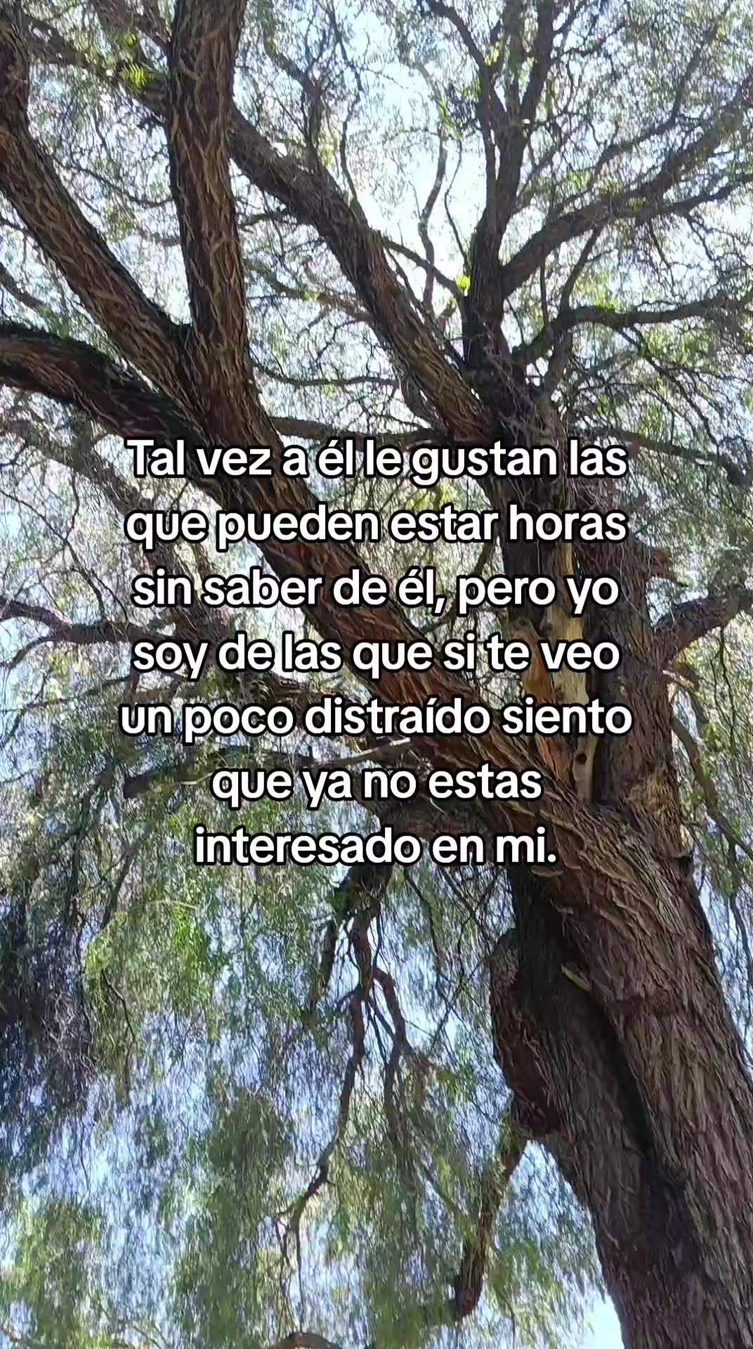 @Aleli Luevano