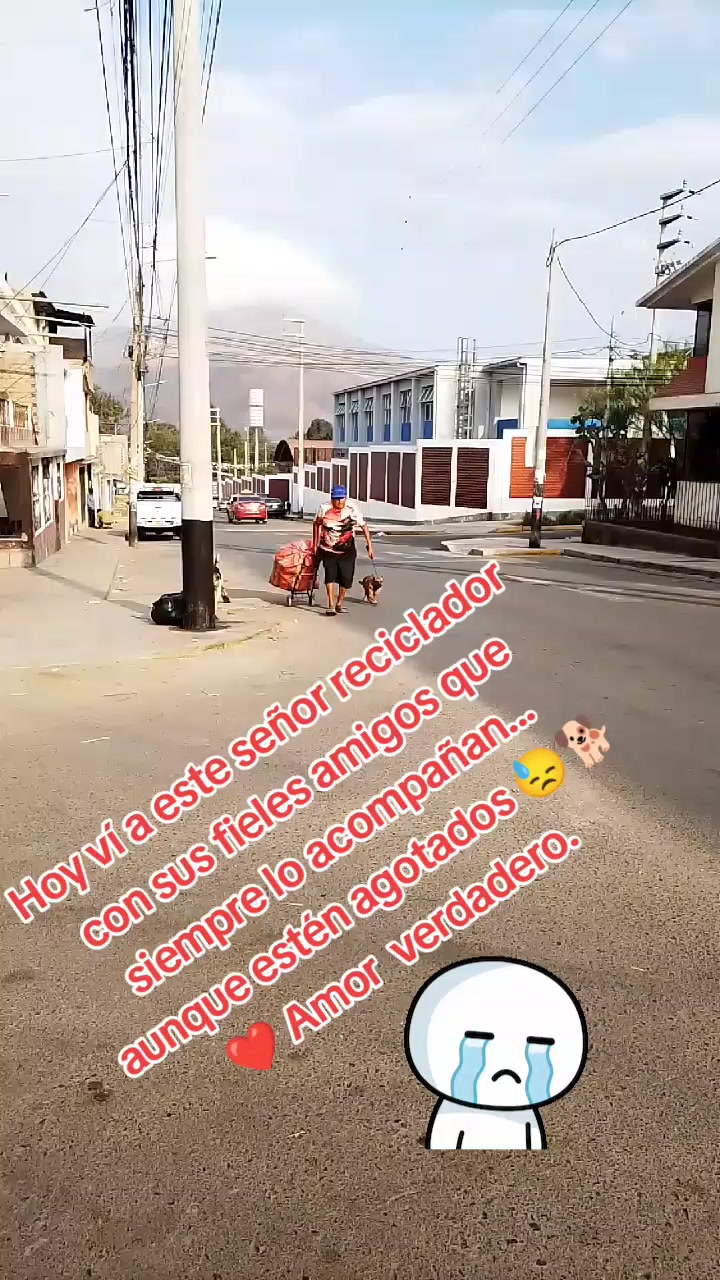 @🌷 Sarita y los callejeritos