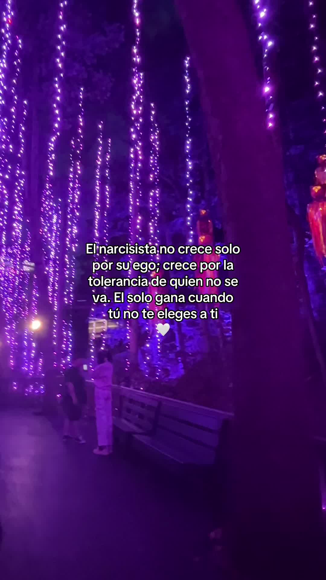 @hadadeletras