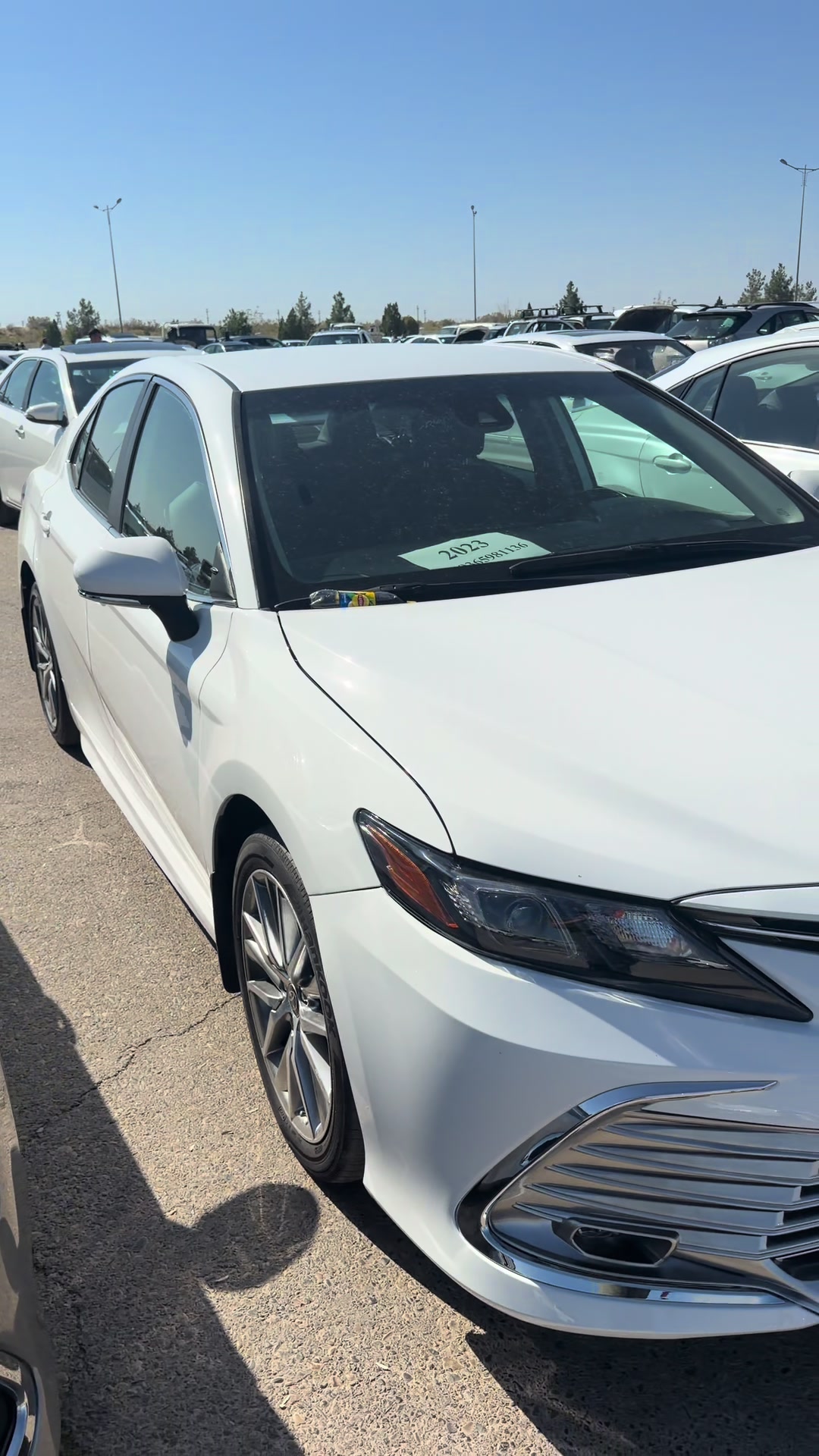 @Auto Cars . TM