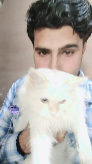 @Jutt Mobile